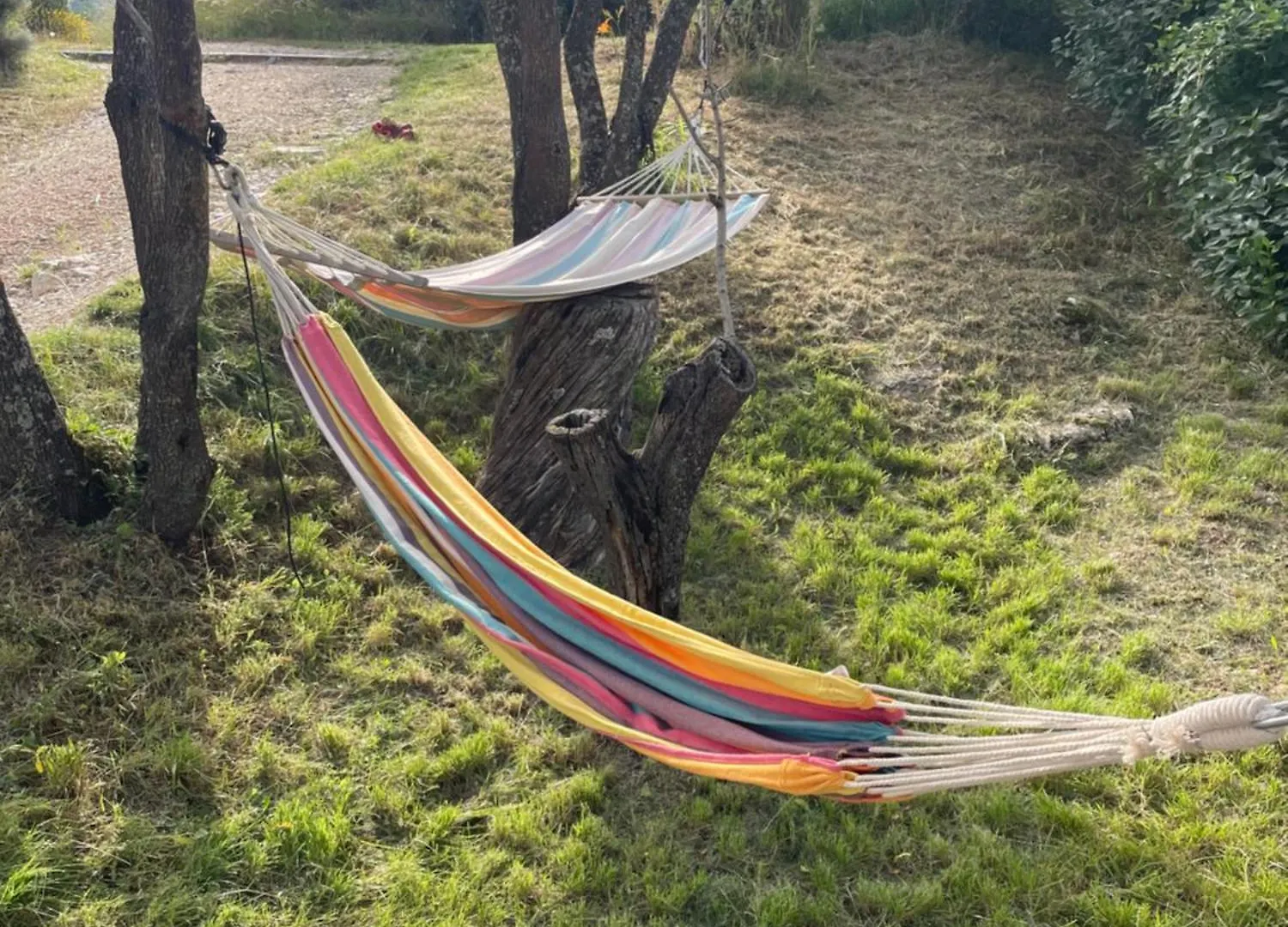 Maison en pleine garrigue sauvage Montbrun-les-Bains Hébergement de vacances