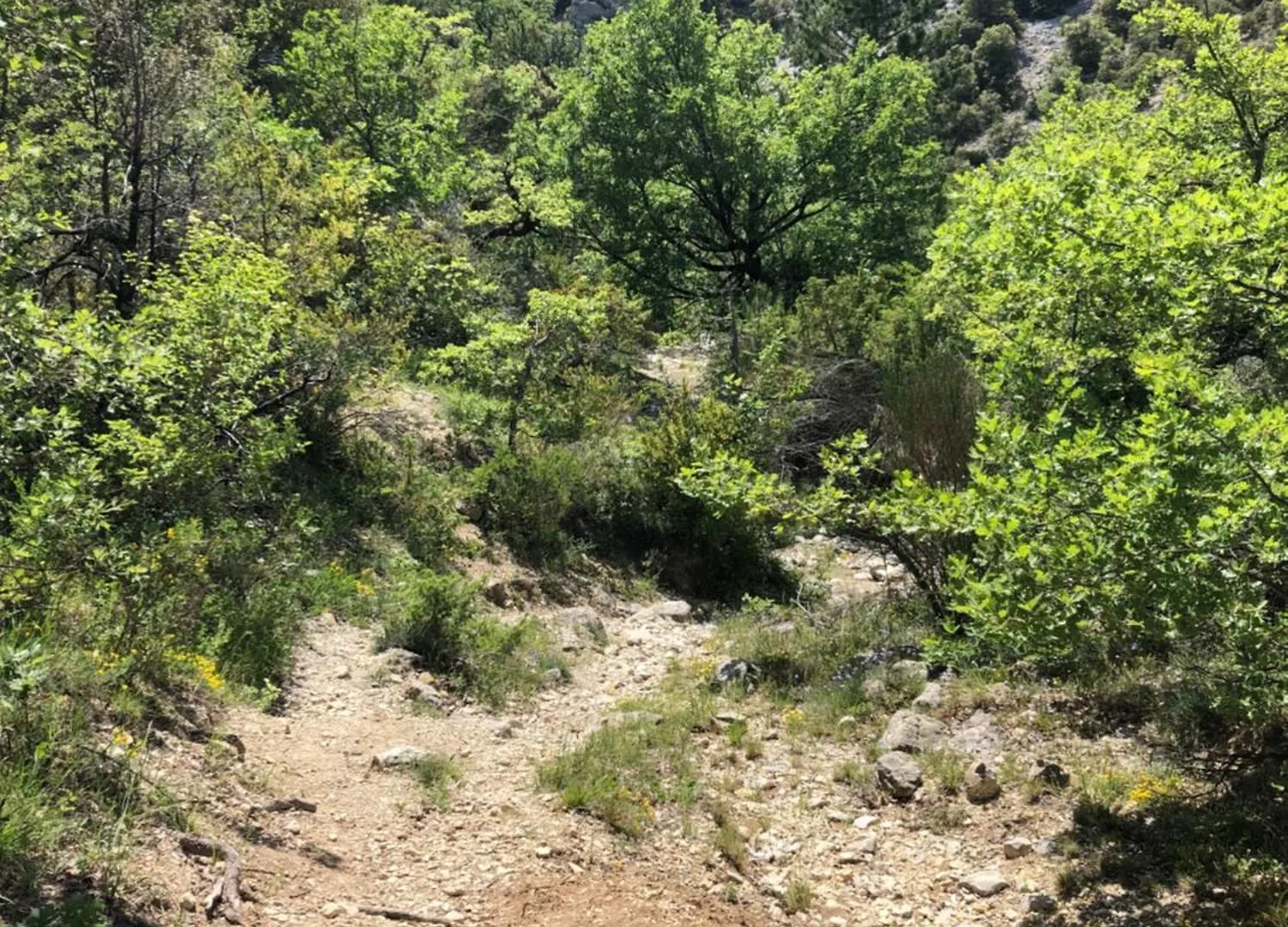 Hébergement de vacances Maison en pleine garrigue sauvage Montbrun-les-Bains